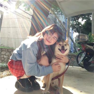 米歇尔先生的狗