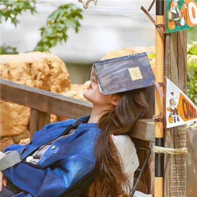 妙警贼探第五季